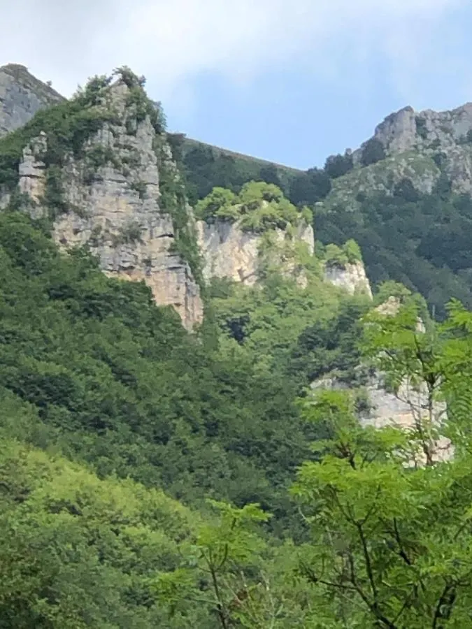 Haus Granata Family - Trekking - Bike Villa Giazza